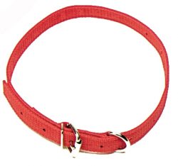 Heifer Collar