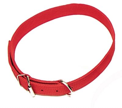 Cow Collar, 1 1/2" Triple-Ply Poly Web