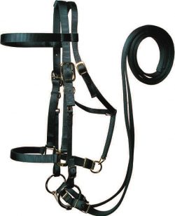 Draft Trail Bridle w/ Removable Bit & Reins