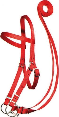 Draft Bridle w/ Conway Buckles, Bit & Reins