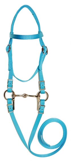 Mini Bridle w/ 3-1/2" Bit & 4' Reins