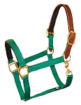 PVC Padded 1" Nylon Halter with Padded Leather Crown & Snap, Bronze Hardware