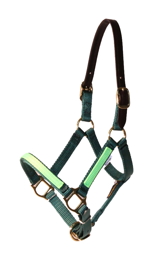 Breakaway Mini 5/8 Premium Nylon Adjustable Halter w/Overlay, No Snap