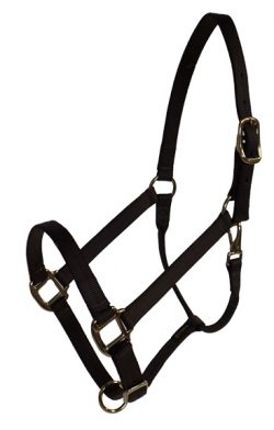 DRAFT HALTER, 1″ PREMIUM NYLON ADJUSTABLE HALTER, DURABLE BRONZE HARDWARE, draft, nylon, adjustable, halter, Triple E Manufacturing