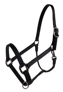 DRAFT HALTER, 1″ PREMIUM NYLON HALTER W/SNAP, DURABLE STEEL GRAY HARDWARE, draft, nylon, halter, Triple E Manufacturing