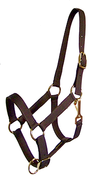 POLY-WEB 1″ DOUBLE-PLY ADJUSTABLE HALTER W/BRASS-PLATED HARDWARE, poly, web, adjustable, halter, Triple E Manufacturing