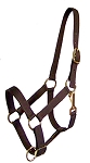Poly-Web 1"  Double-Ply Adjustable Halter w/Brass-Plated Hardware