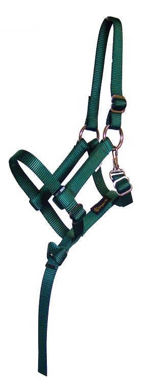 Foal 3/4" Fully Adjustable Nylon Halter w/Removable Handhold & Snap