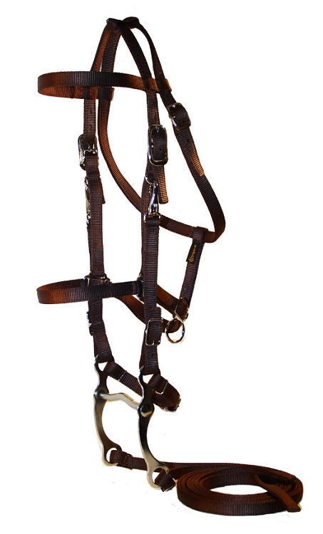 Western combination trail bridle/halter w/reins blue nylon w/leather accents