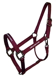 Embroidered 1" Nylon Halter with Snap, Durable Steel Gray Hardware