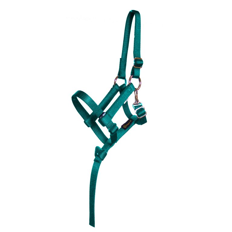 FOAL 3/4″ FULLY ADJUSTABLE NYLON HALTER W/REMOVABLE HANDHOLD & SNAP, halter, foal, adjustable, Triple E Manufacturing