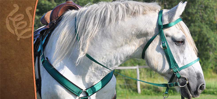 Tahoe Tack Nylon Double-Layered Western Draft Headstall With Matching Reins 90 9102rd