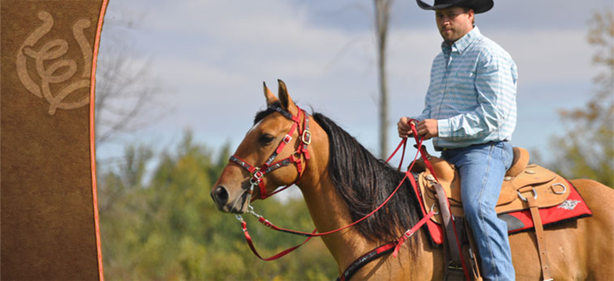 reins - Triple E Mfg & Design