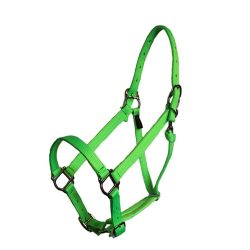 Parker Adjustable Halter with snap, squares, nylon, halter, Triple E Manufacturing