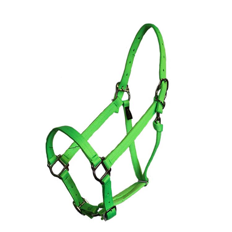 Parker Adjustable Halter with squares and snaps, adjustable, squares, snap, halter, nylon, Triple E Manufacturing