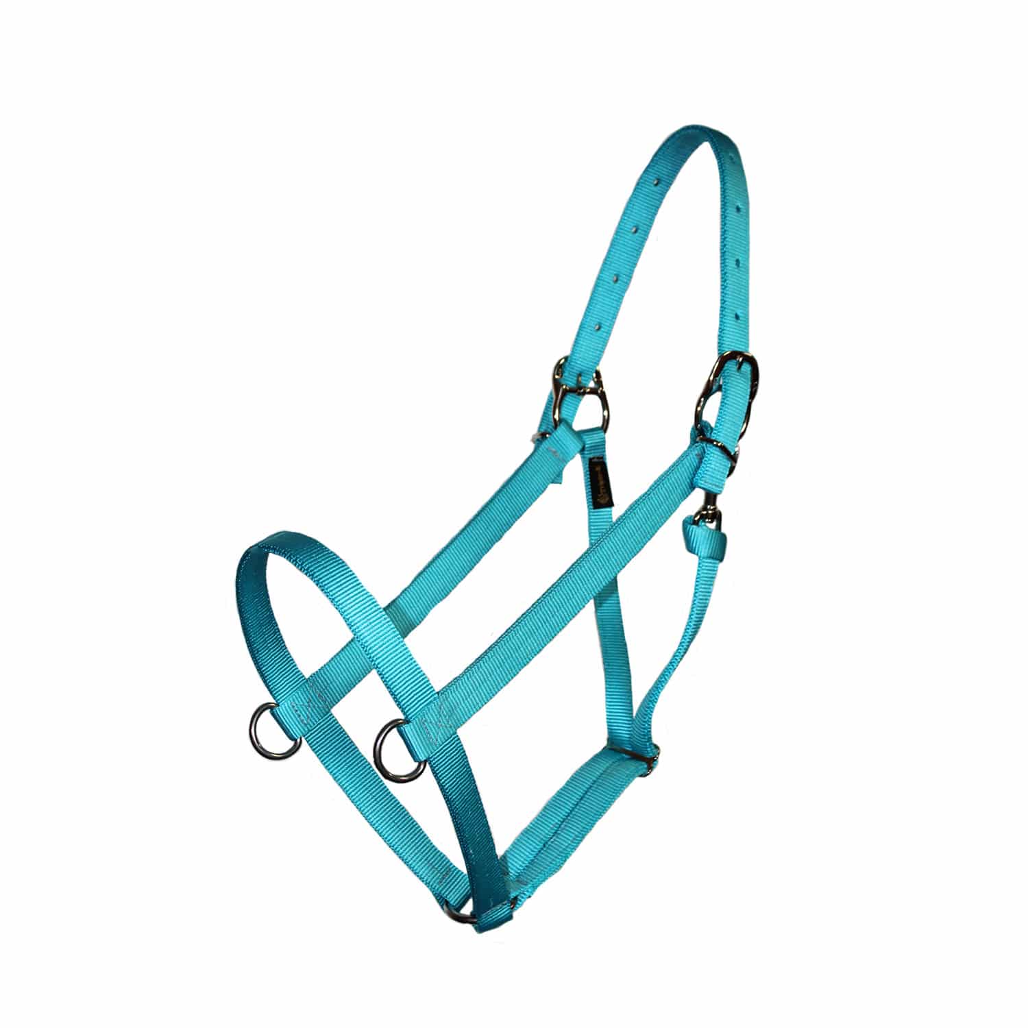 Parker Yearling/Pony Halter with D-Rings and Snap - Horse Tack & Supplies