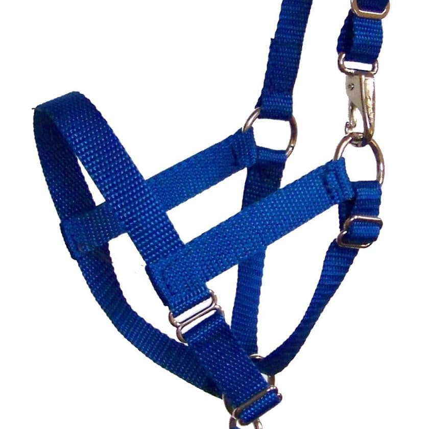 standard llama halter, llama halter, halter, llama, nylon, Triple E Manufacturing