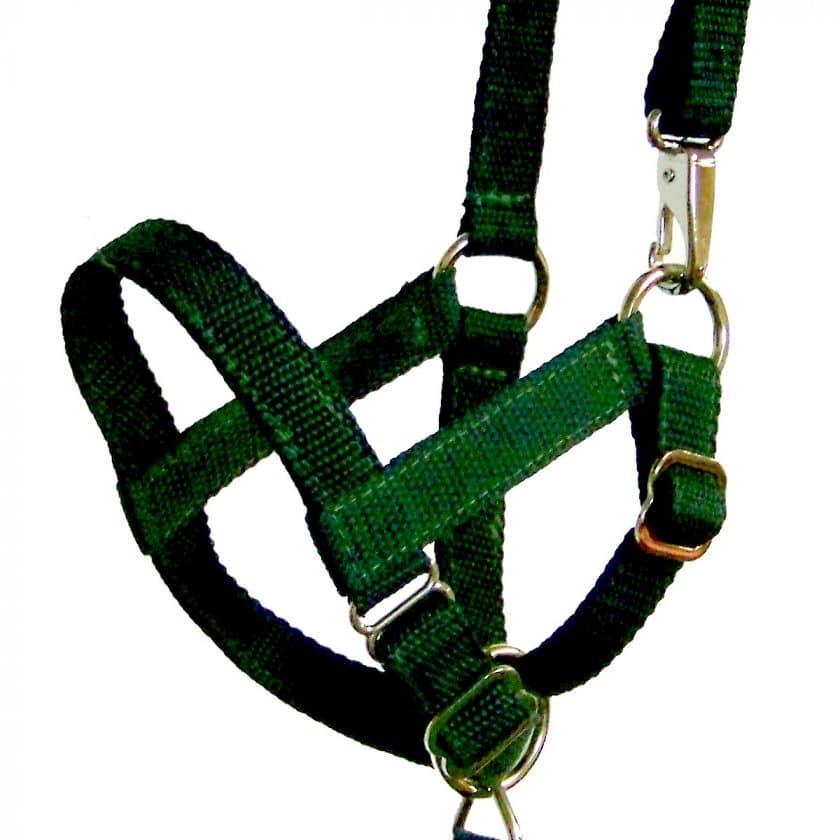 trail llama halter, poly webbing, llama, halter, Triple E Manufacturing