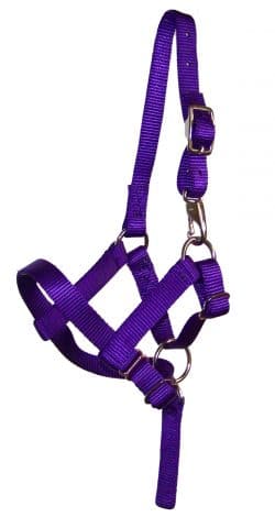 hefty llama halter, nylon, llama, halter, Triple E Manufacturing