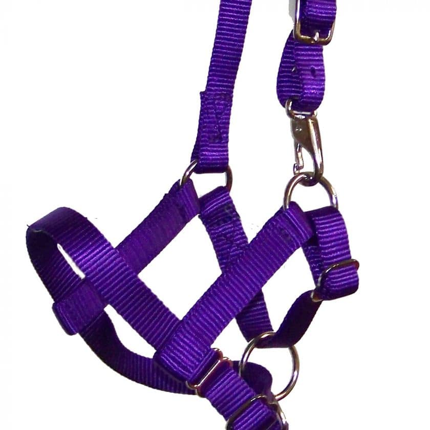 hefty llama halter, nylon, llama, halter, Triple E Manufacturing