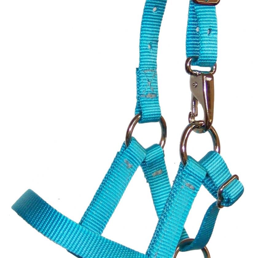 Adjustable alpaca halter, nylon, halter, Triple E Manufacturing