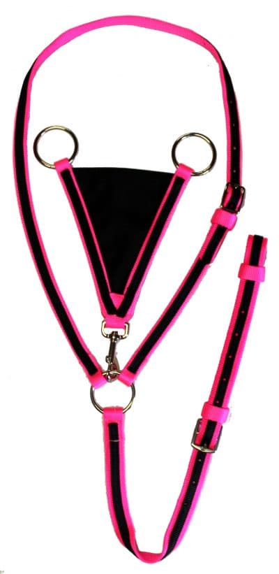 Racing Martingale