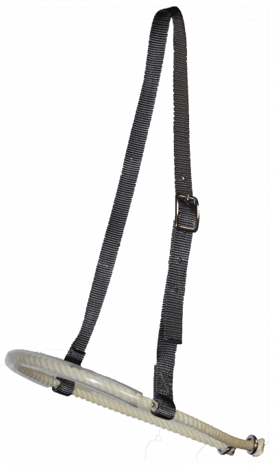 Nylon Caveson w/ Covered Lariat Noseband