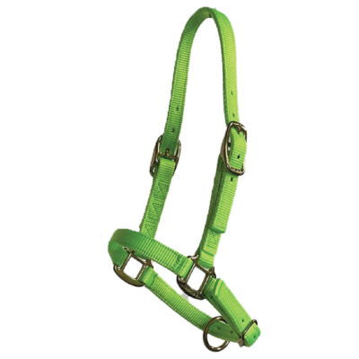 Foal Adjustable Halter, 3/4" Premium Nylon w/overlay
